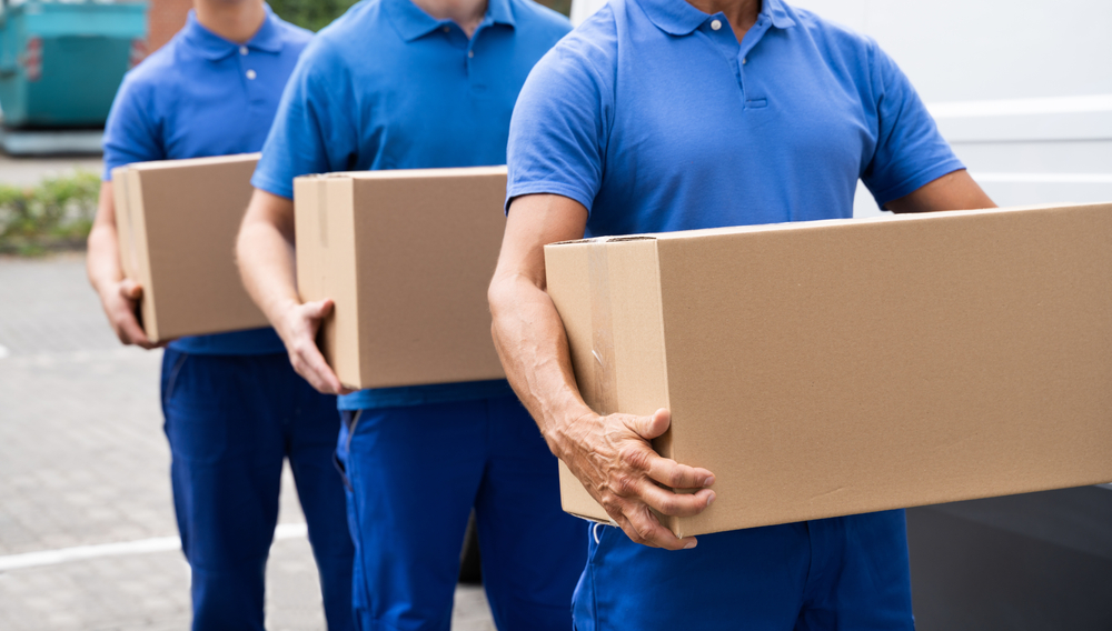 Brampton movers carrying boxes